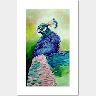 Peacock art painted hand drawn Posters and Art